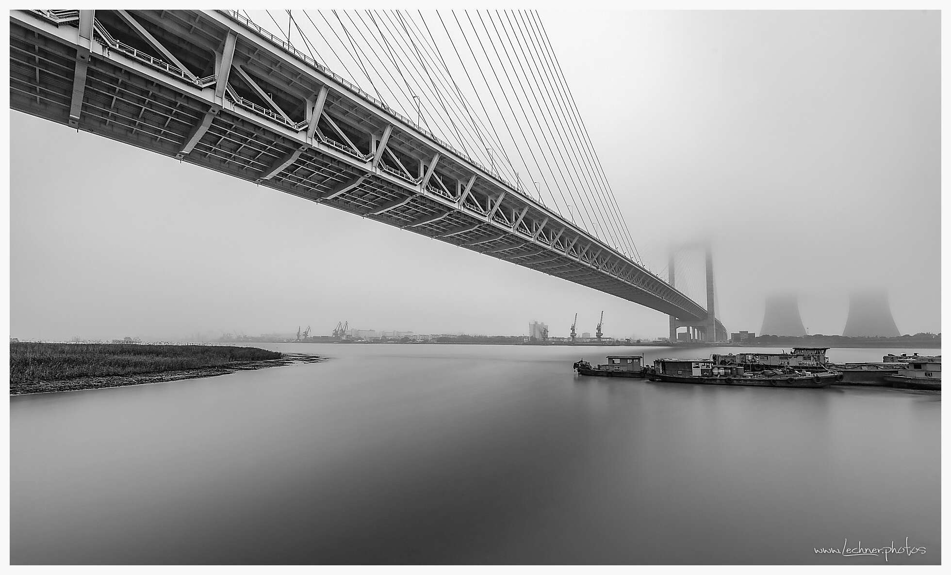 Grey Shanghai